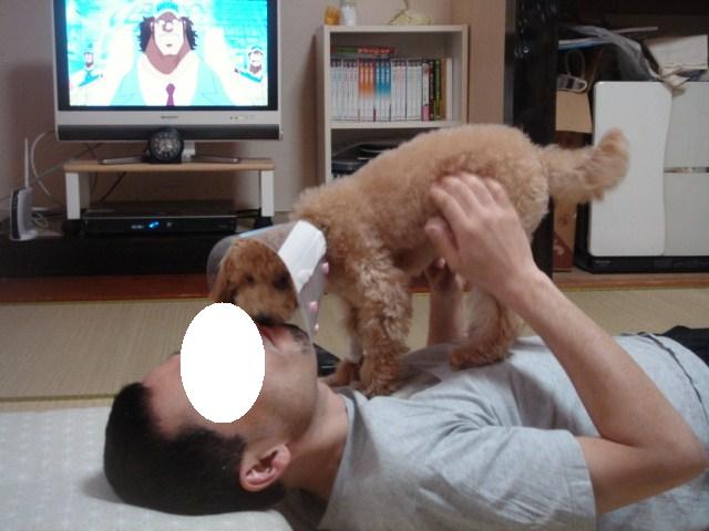 イメージ 5