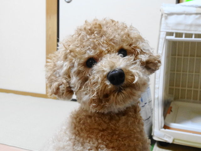 イメージ 2