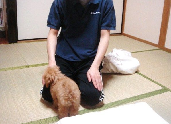 イメージ 3