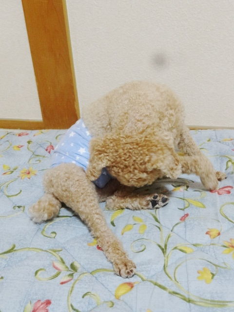 イメージ 3