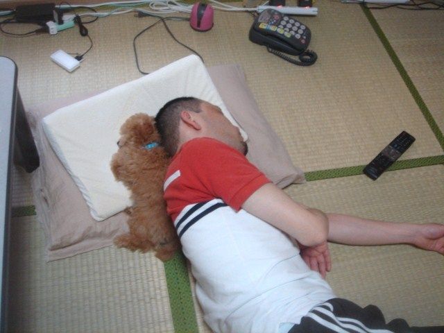 イメージ 8