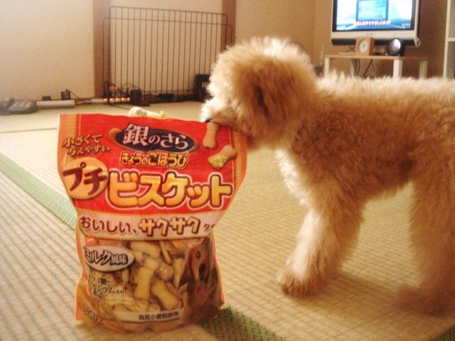 イメージ 2