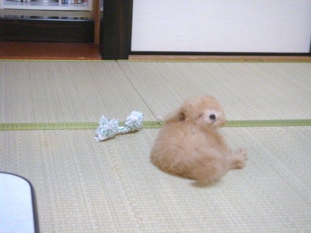 イメージ 2