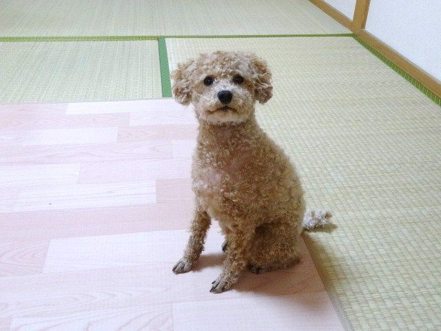 イメージ 8
