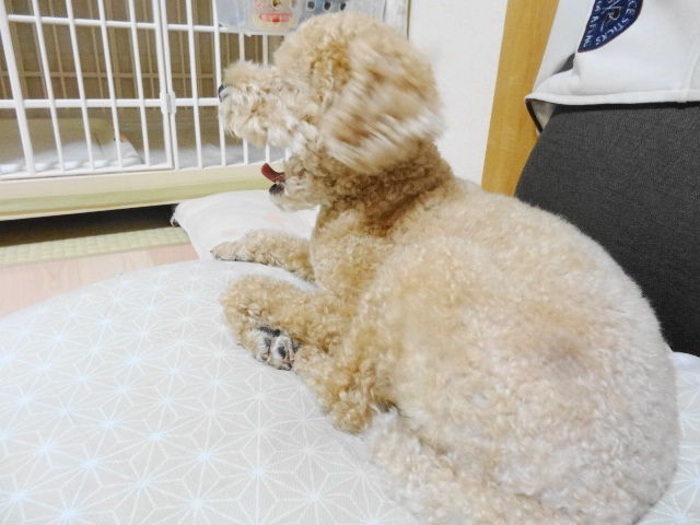 イメージ 5
