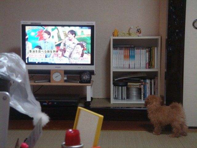 イメージ 7