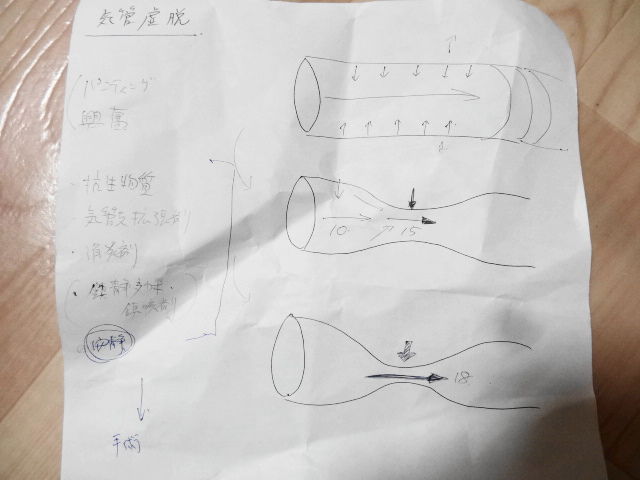 イメージ 5