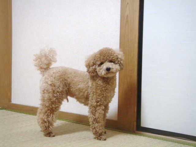 イメージ 6