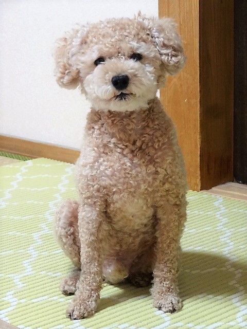 DSC04866