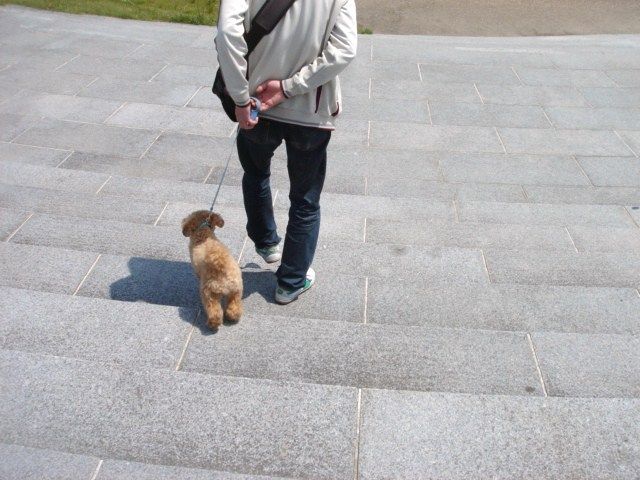 イメージ 6