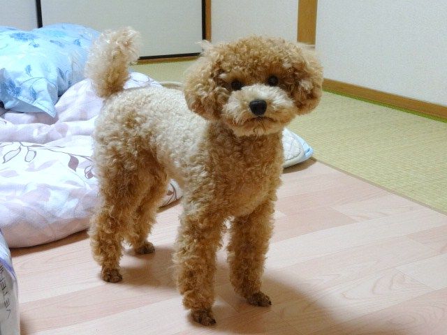イメージ 2