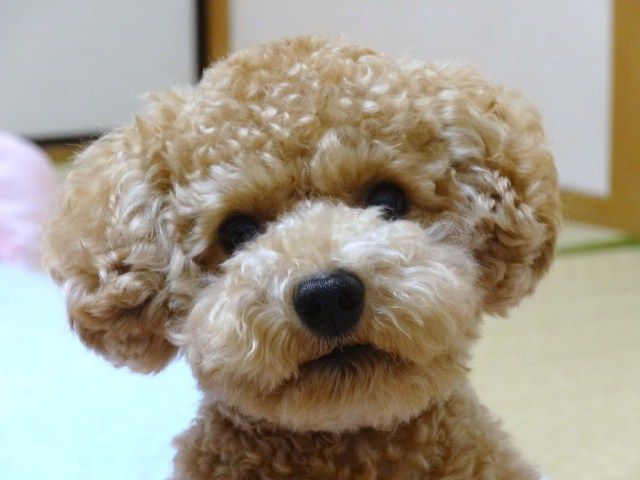 イメージ 6