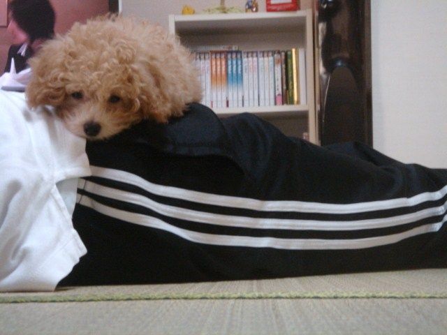 イメージ 3