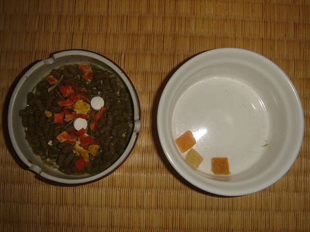 イメージ 7