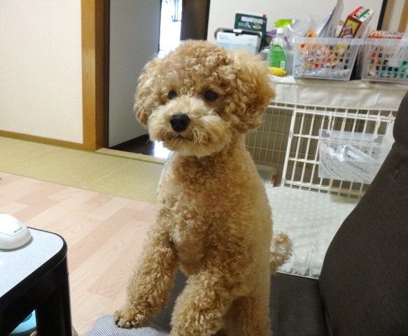 イメージ 1