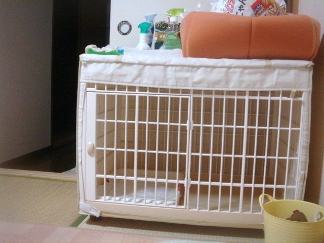 イメージ 3