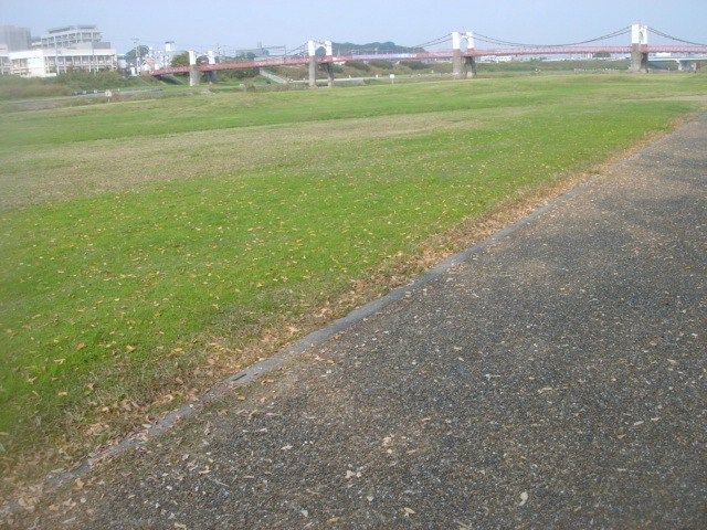 イメージ 11