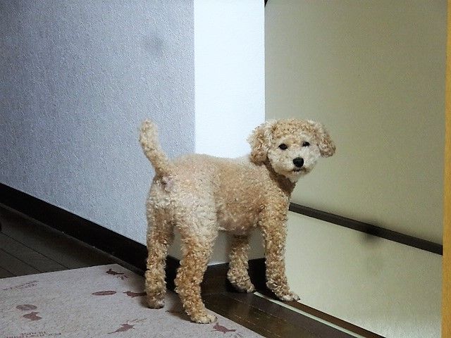 イメージ 1