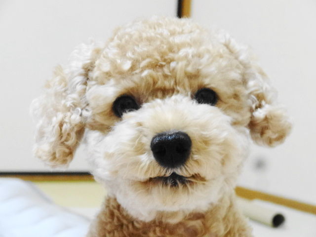 イメージ 3