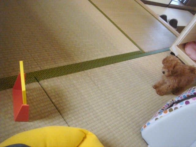イメージ 2
