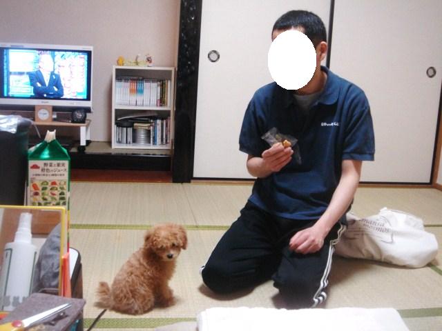 イメージ 10