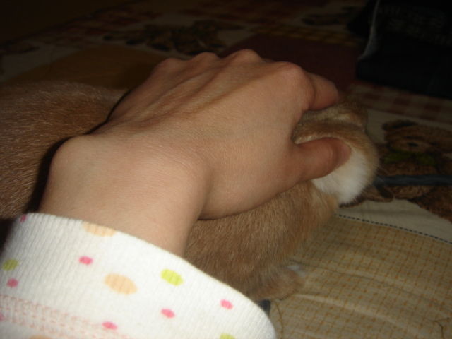 イメージ 2