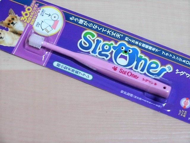 イメージ 12