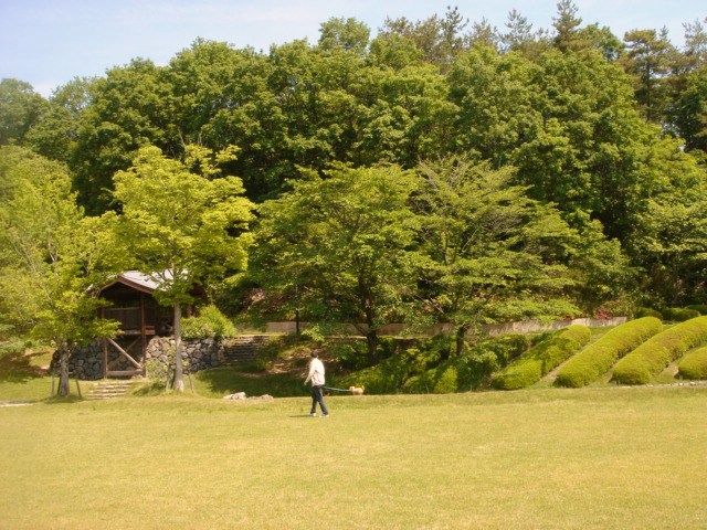 イメージ 1