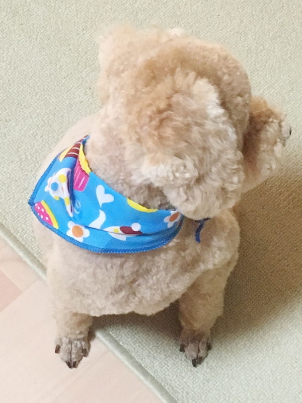 イメージ 4