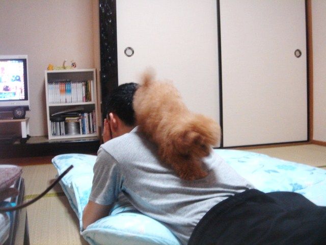 イメージ 5