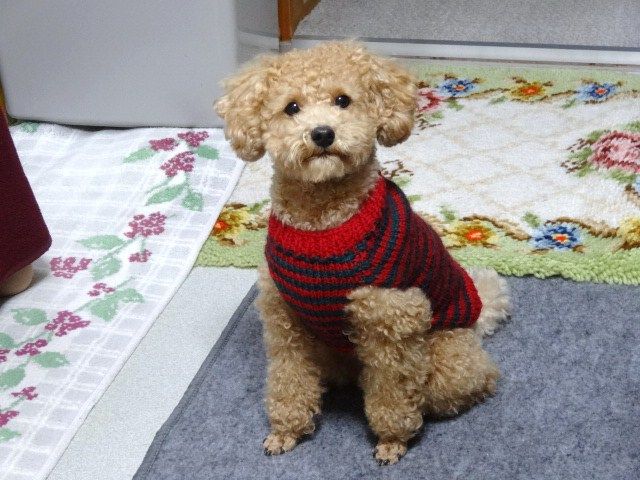イメージ 3