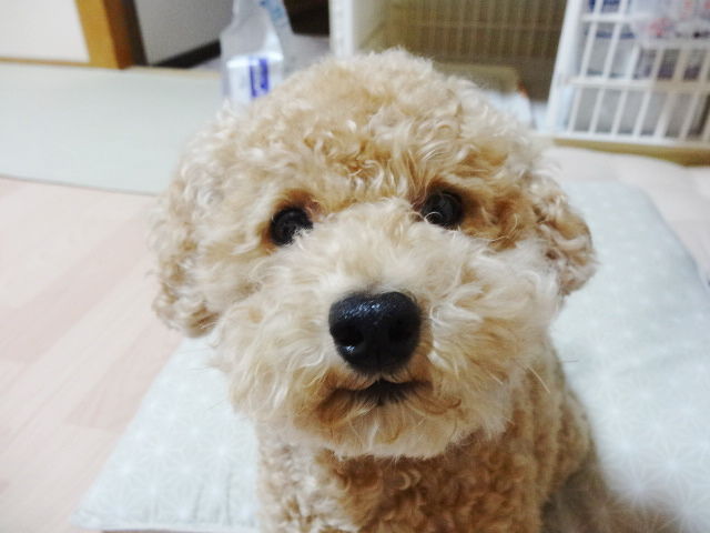 イメージ 3