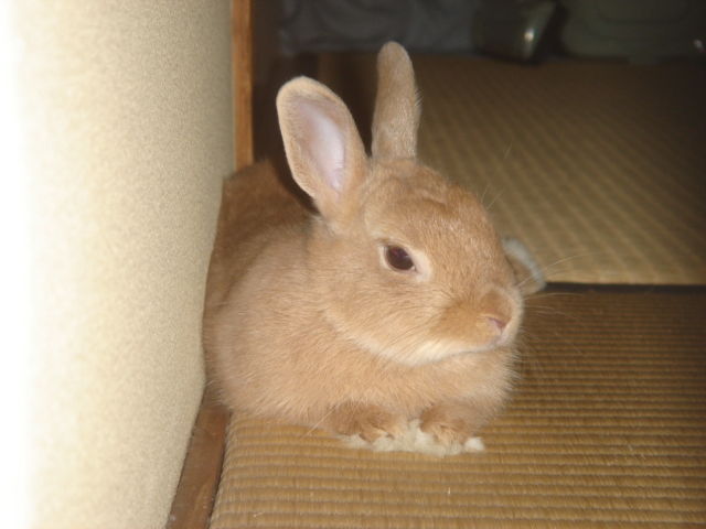 イメージ 2