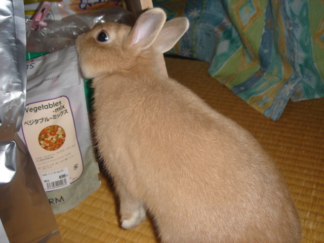 イメージ 3