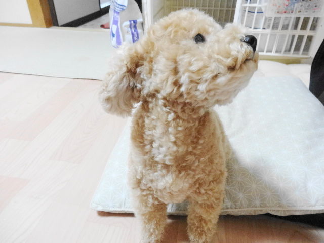イメージ 3