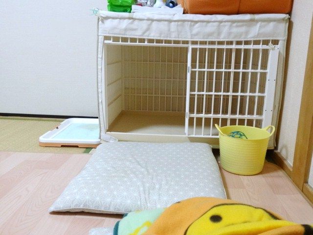 イメージ 10