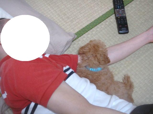 イメージ 4