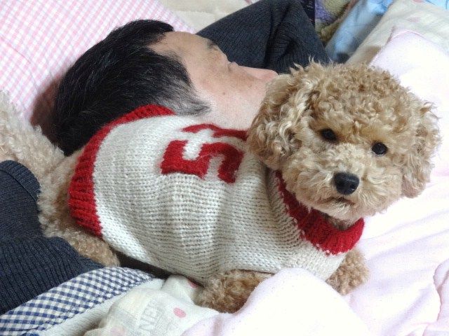 イメージ 4