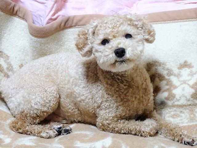 イメージ 5
