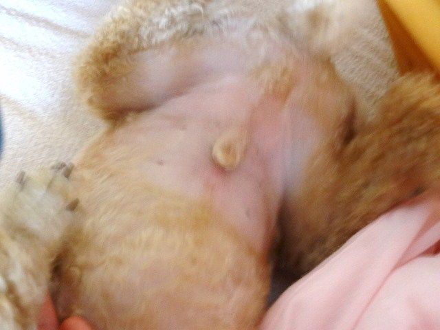 イメージ 8