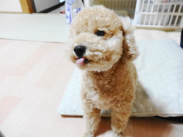 イメージ 2