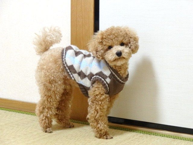 イメージ 4