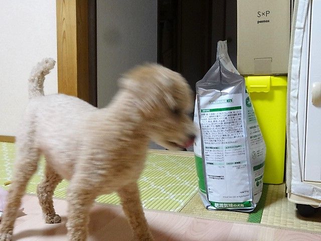 イメージ 4