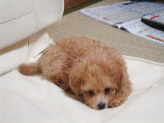 イメージ 3