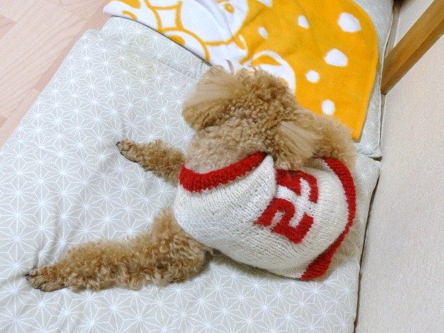 イメージ 1