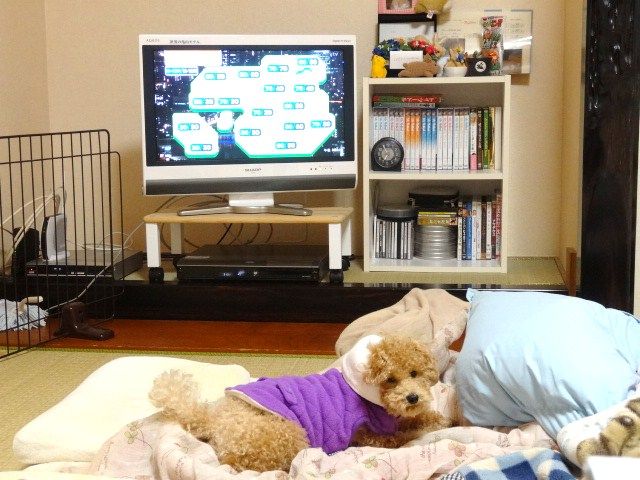 イメージ 4