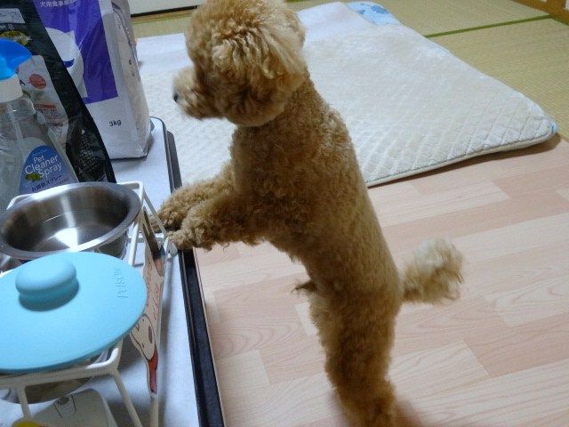 イメージ 12
