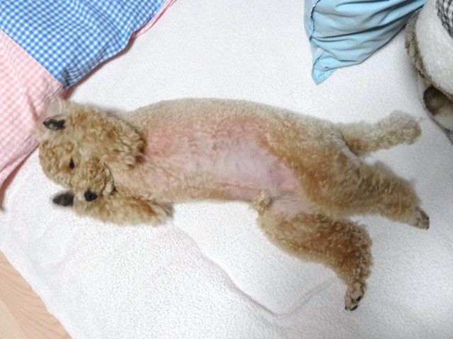イメージ 6