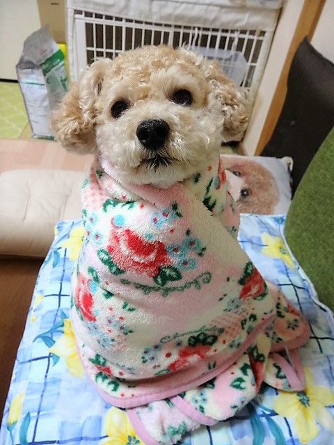 イメージ 1
