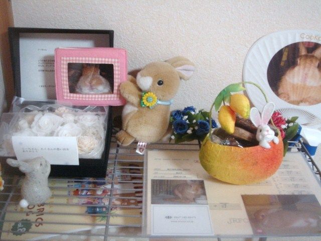 イメージ 1